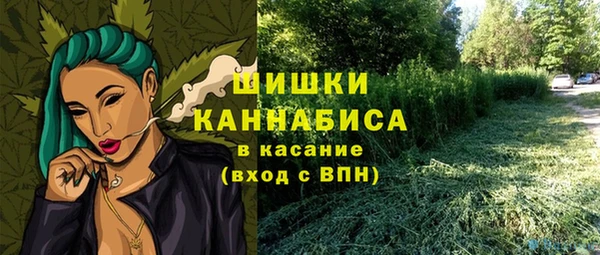 тгк Балахна