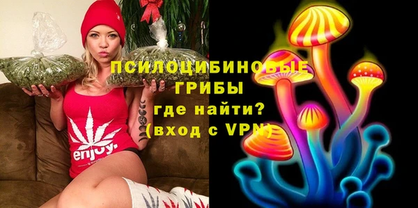 спайс Баксан