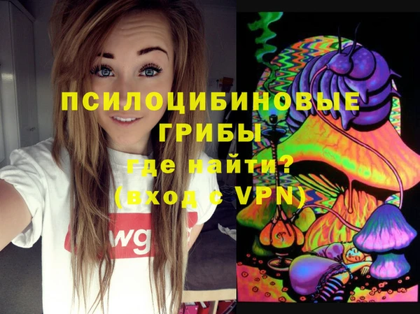 спайс Баксан